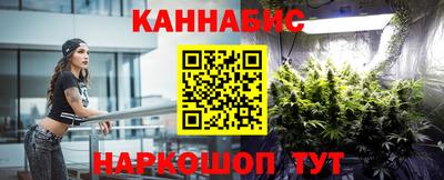 ПСИЛОЦИБИНОВЫЕ ГРИБЫ Новозыбков