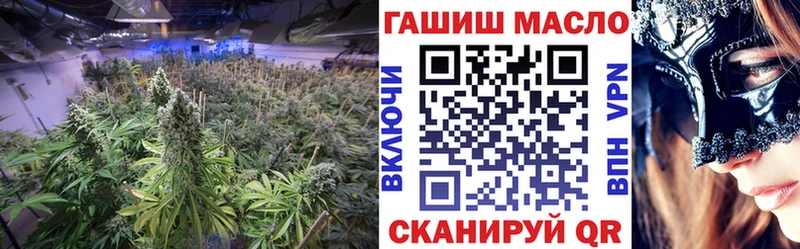 где продают   omg как зайти  ТГК гашишное масло  Вологда 