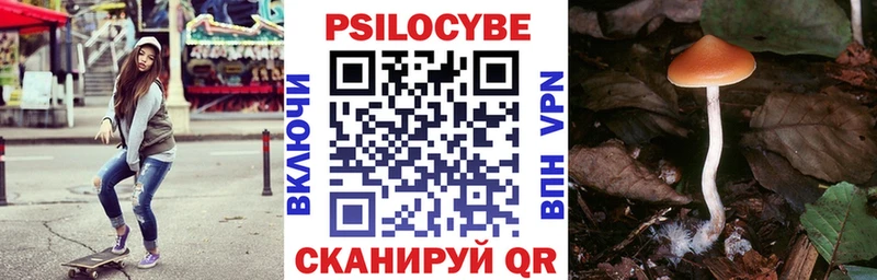 продажа наркотиков  Вологда  МЕГА ONION  Галлюциногенные грибы Psilocybe 